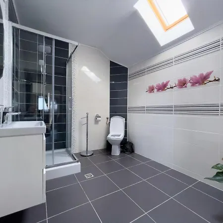 Casa Mos Homestay Sibiu